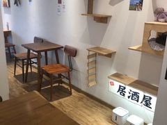 -猫小主咖啡·猫咖cat cafe(福田店)