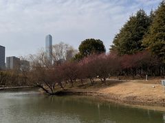 -白塘生态植物园