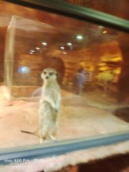 -酷嗒动物文化乐园(cutezoo西溪乐天城店)