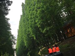 -金岛生态园烧烤露营地