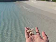 -中央格兰德岛温泉度假酒店 - 全包