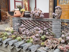 -古大圣慈寺