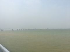 -大湾区中央湿地公园