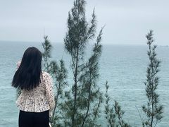-广东惠东海龟国家级自然保护区