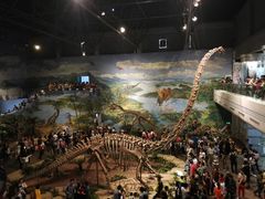 -自贡恐龙博物馆