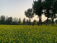 -长白岛森林公园