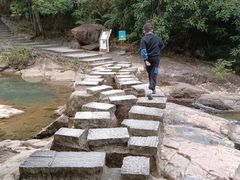 -广州白江湖森林公园