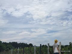 -美心红酒小镇游乐园