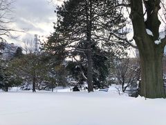 -北海道厅旧本厅舍(旧本庁舎)