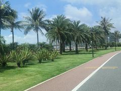 -野狸岛