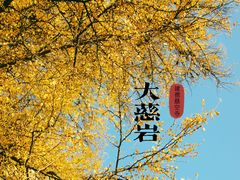 -大慈岩风景区