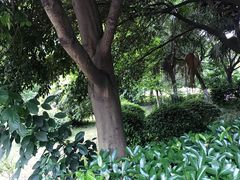 -重庆平顶山公园