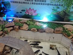 -春盛渔府(牛首山店)