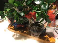 -唐猫庭院·千年陕菜(大唐不夜城店)