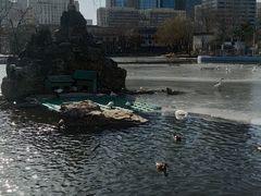 -团结湖公园
