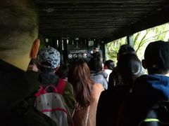 -怀托摩萤火虫洞