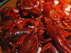 -巴厘龙虾·榜首油焖大虾(音乐学院·沿江酒馆店)