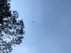 -南山植物园