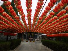 -大槐树寻根祭祖园