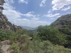 -大岭沟猕猴桃谷风景区