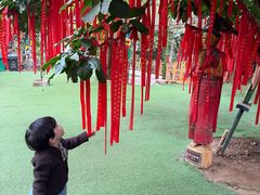-呀路古热带植物园