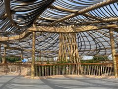 -江门古劳水乡旅游区