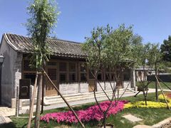 2017年5月24日-春风习习