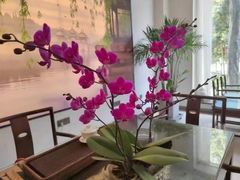 -扬州三韵足道会馆(学苑店)