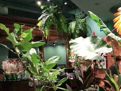 -星叶·东南亚料理(宁波万象汇店)