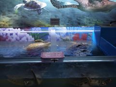 景点-大明湖海底世界