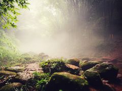 -川西竹海景区