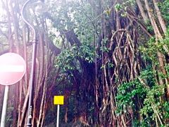 -罗富记粥面专家(摆花街店)