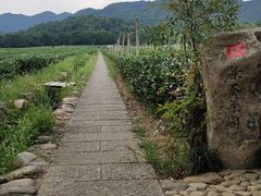 -中国茶叶博物馆(双峰馆区)