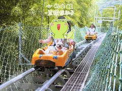 -藏龙百瀑风景区