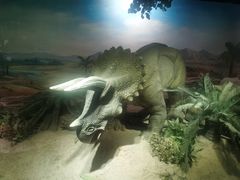 -国家自然博物馆