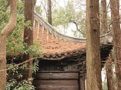 -东湖落雁景区