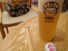 -猫咪派对(江南西店)