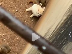 -昆明动物园