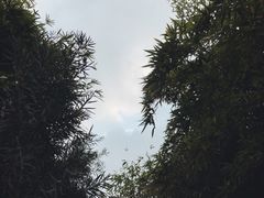 -汇龙潭
