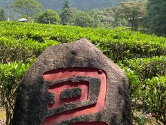 -姑婆山旅游区