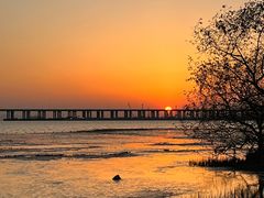 -宝安西湾红树林湿地公园