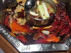 -蜀九香火锅(九眼桥店)