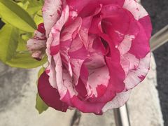 -村东第一家私房菜馆(古北水镇店)