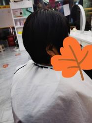 短发-芭莎造型·BAZAAR SALON