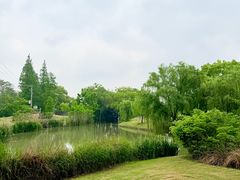 -上海佘山世茂艾美酒店