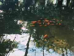 -晶宝温泉农庄