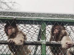 -藏龙百瀑风景区