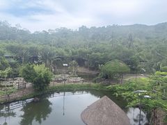 -海南槟榔谷黎苗文化旅游区
