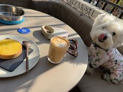 -大小咖啡 BigSmallCoffee(麦子店)
