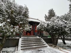 -洛阳白马寺